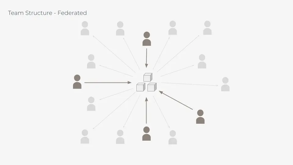 View of diagram of team structure federated, based on Nathan Curtis' presentation